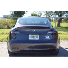 Noble AG Duckbill Spoiler (Paint Matched) Tesla Model 3 2017-2023