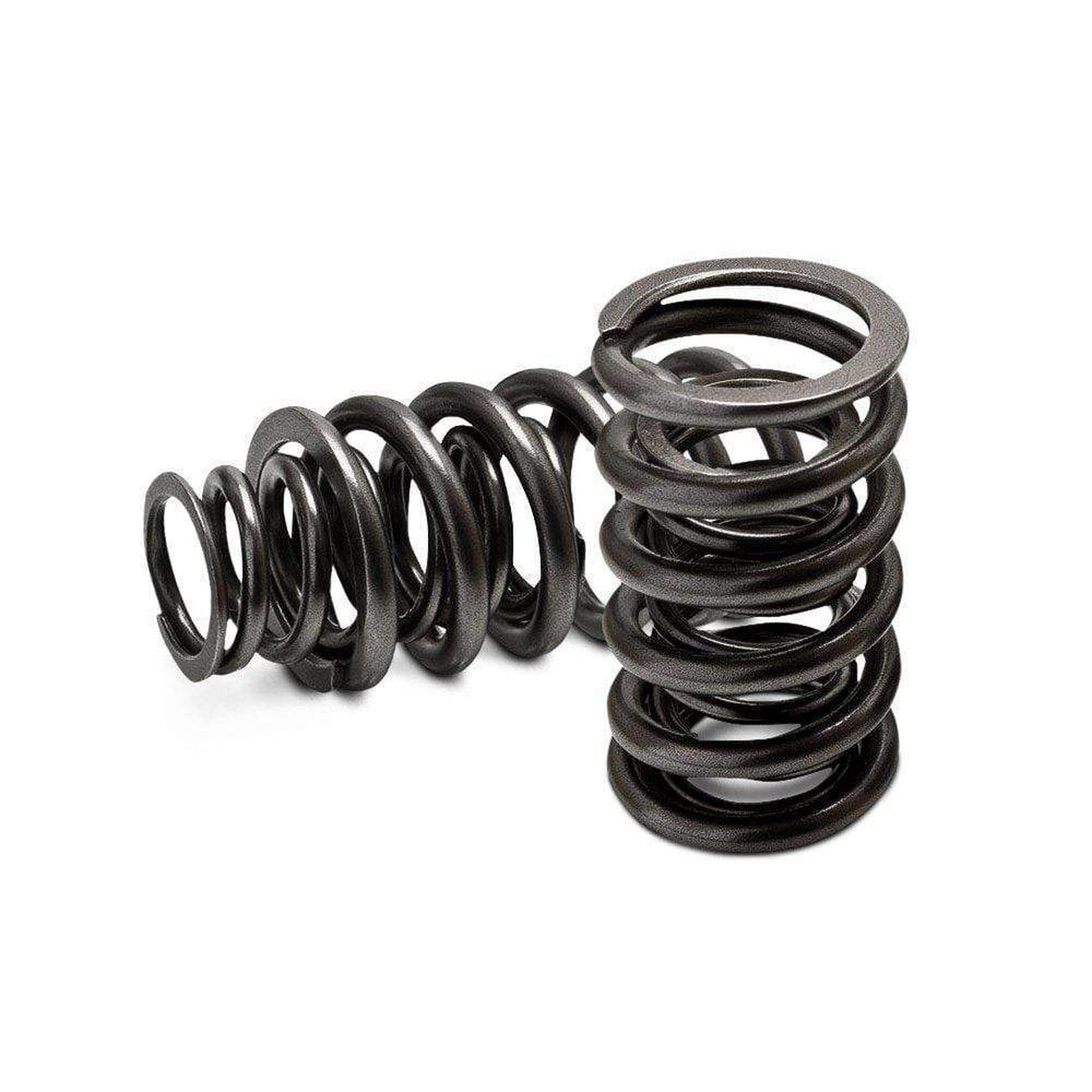 GSC P-D Ovate Beehive Valve Spring