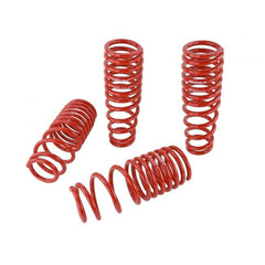 Skunk2 Lowering Springs 1996-2000 Honda Civic | 519-05-1550