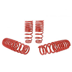 Skunk2 Lowering Springs 1996-2000 Honda Civic | 519-05-1550